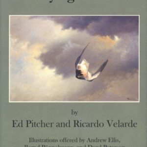 كتاب: تحلق الصقور