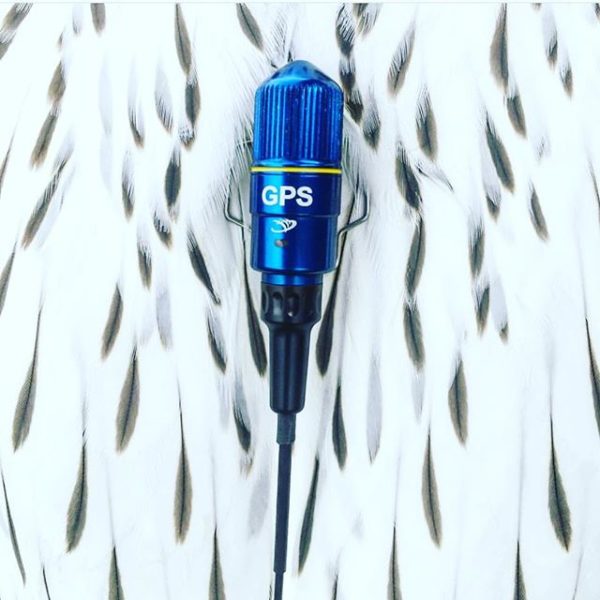 Marshall Turbo GPS System Marshall Radio Worldwide