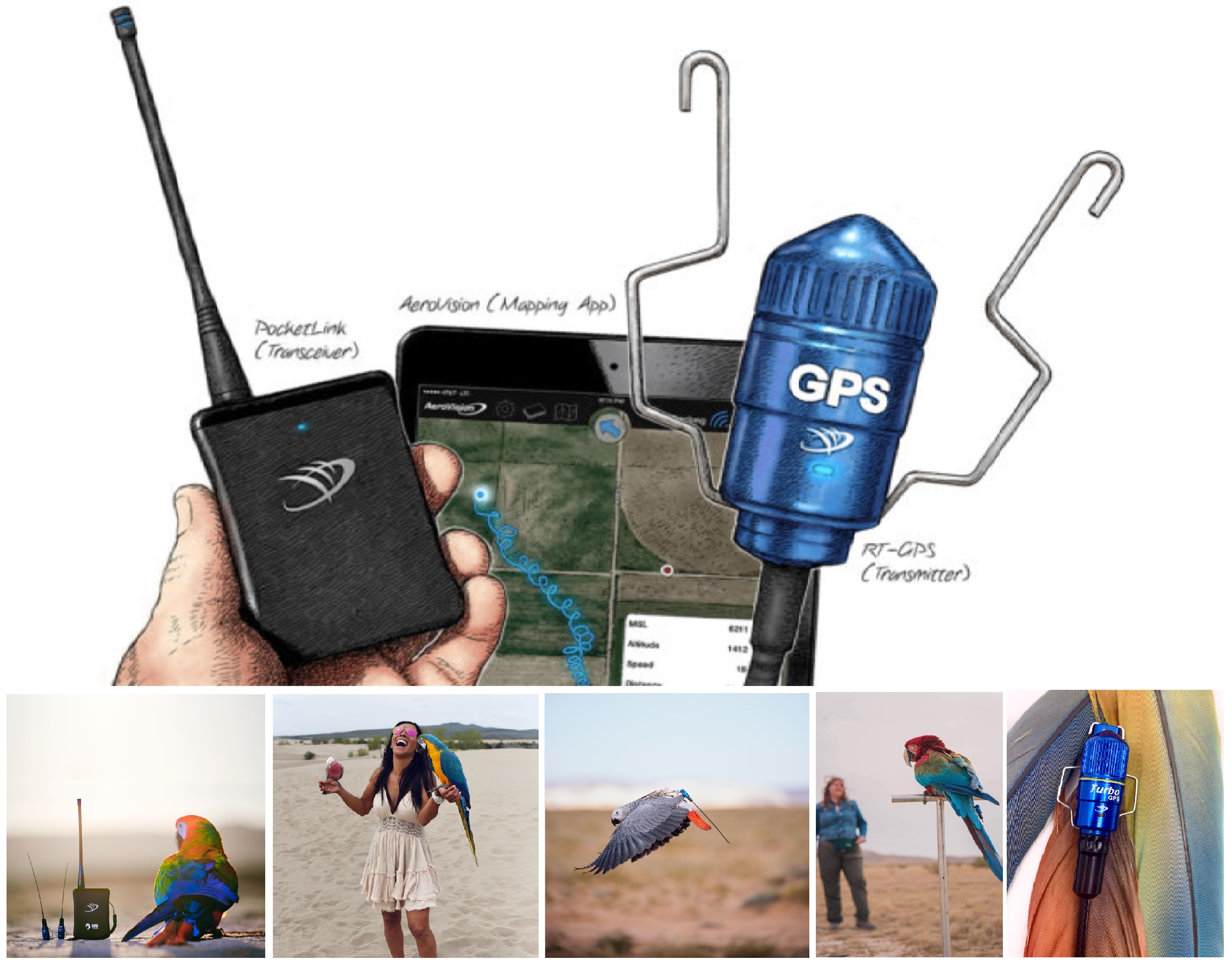 Gps tracker for outlet pet birds