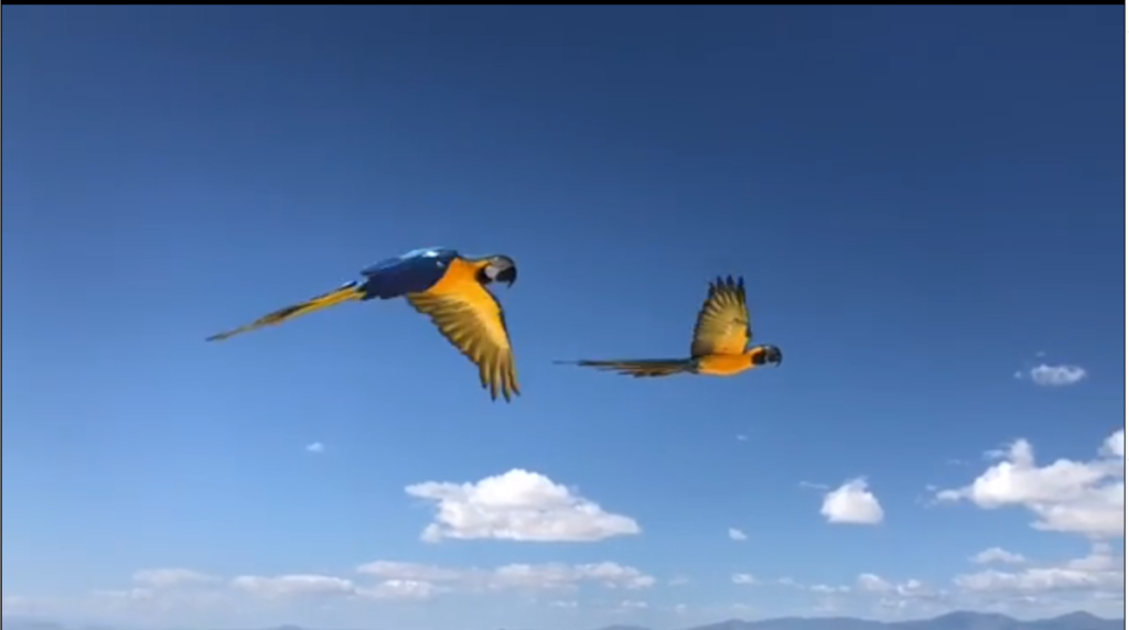 Marshall GPS System for Parrots Marshall Radio United Kingdom