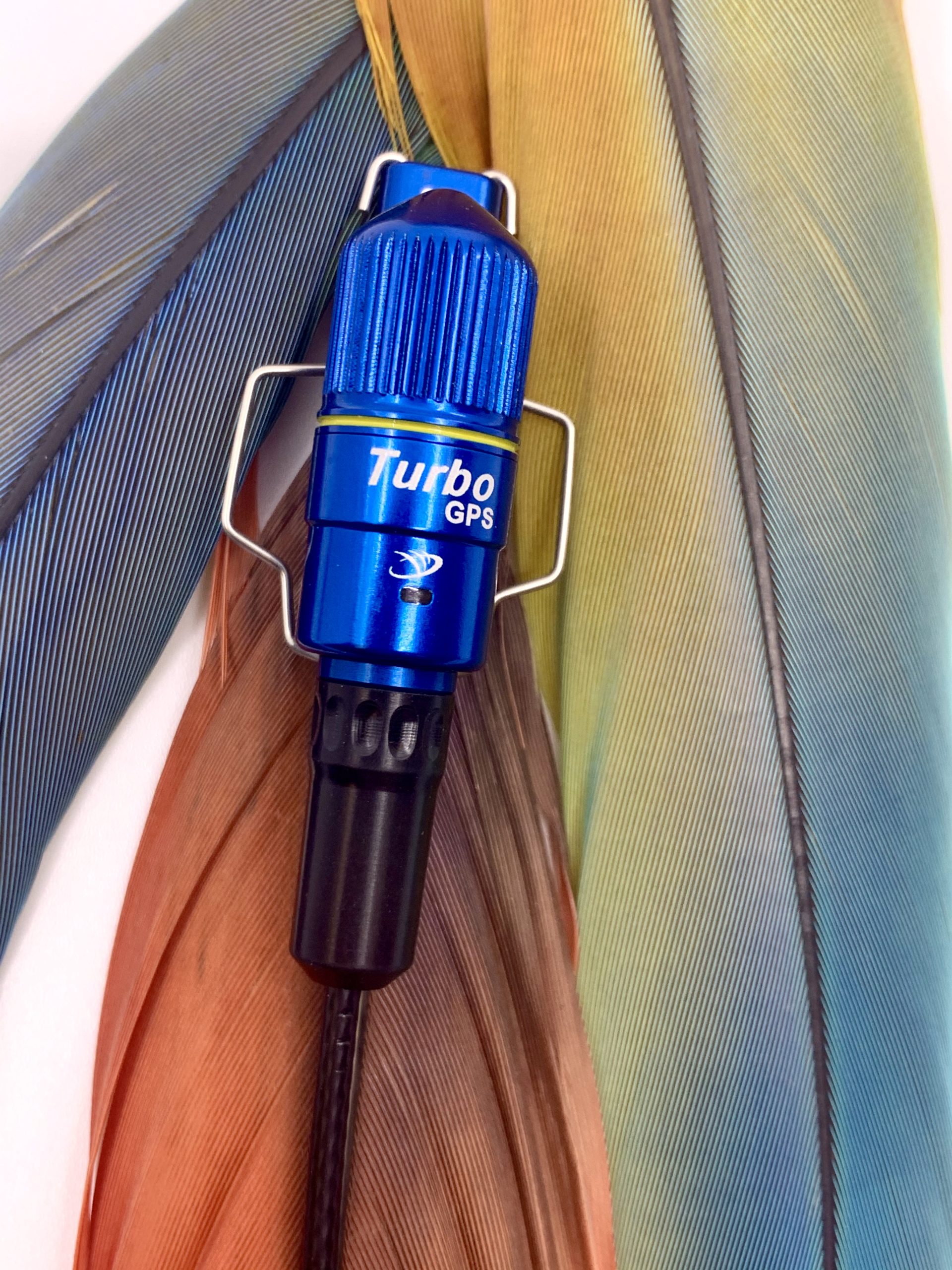 Parrot RTGPS Transmitter Marshall Radio United Kingdom