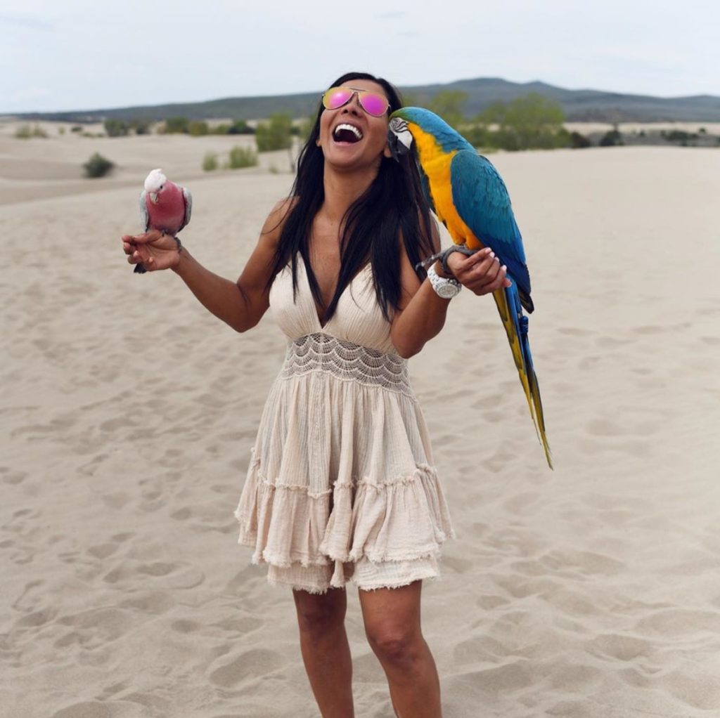 GPS System for Parrots Marshall Radio Worldwide