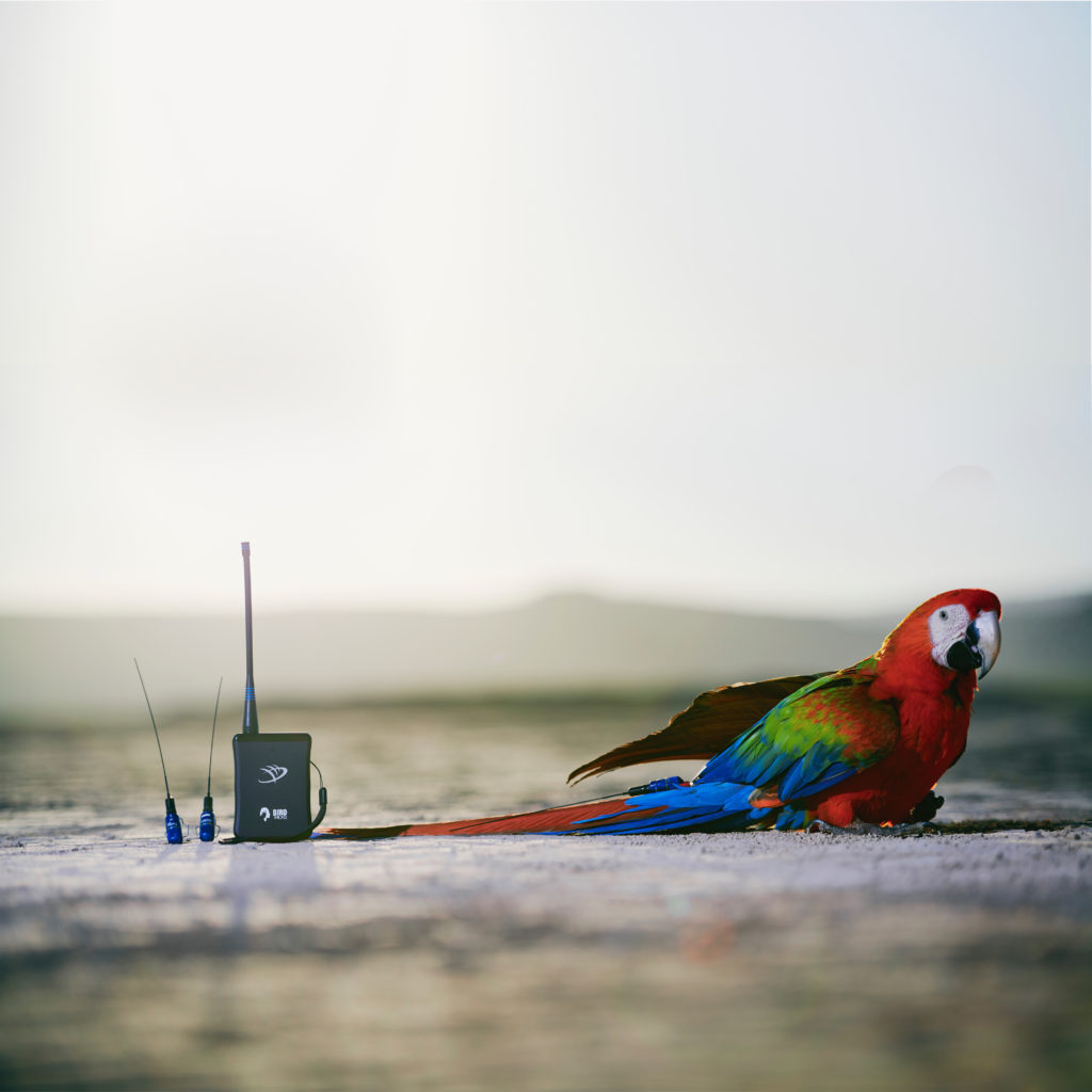 GPS System for Parrots Marshall Radio Worldwide