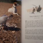 Book SF 2