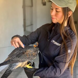 Women's THE ONE Jacket