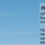Simple – Parrot.RU
