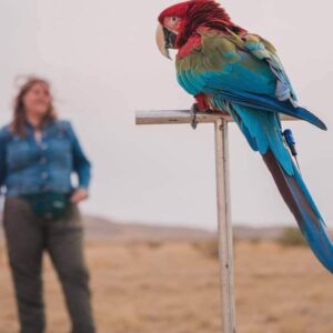 Учебный передатчик